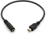Aux to Mini USB Mikrofon Dönüştürücü Çevirici Aksiyon Kamerası